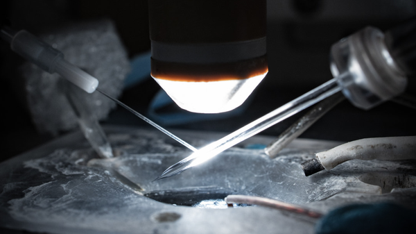 Zymedyne Therapeutics